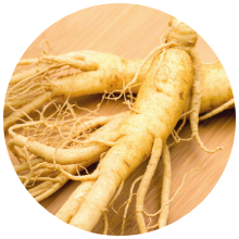 PANAX GINSENG