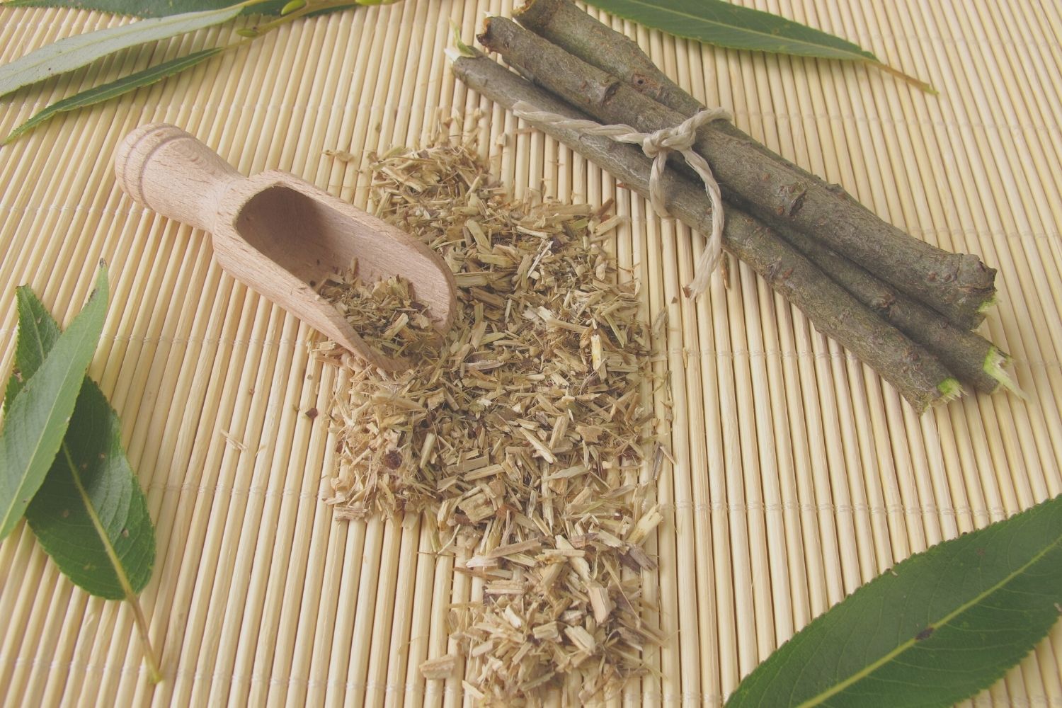 willow bark for hair care benefits